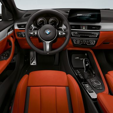 Volante in pelle M della BMW X2 M35i F39 Volante in pelle M della BMW X2 M35i F39 abitacolo