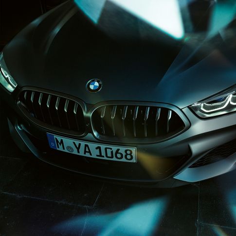Kidney grille BMW M850i xDrive Gran Coupé G16 Kidney grille BMW M850i xDrive Gran Coupé G16 2019 BMW Individual Frozen Bluestone metallic close-up front